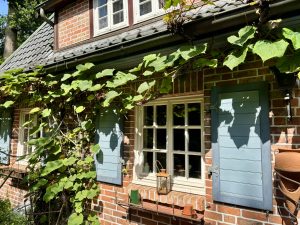 Fenster Ansicht