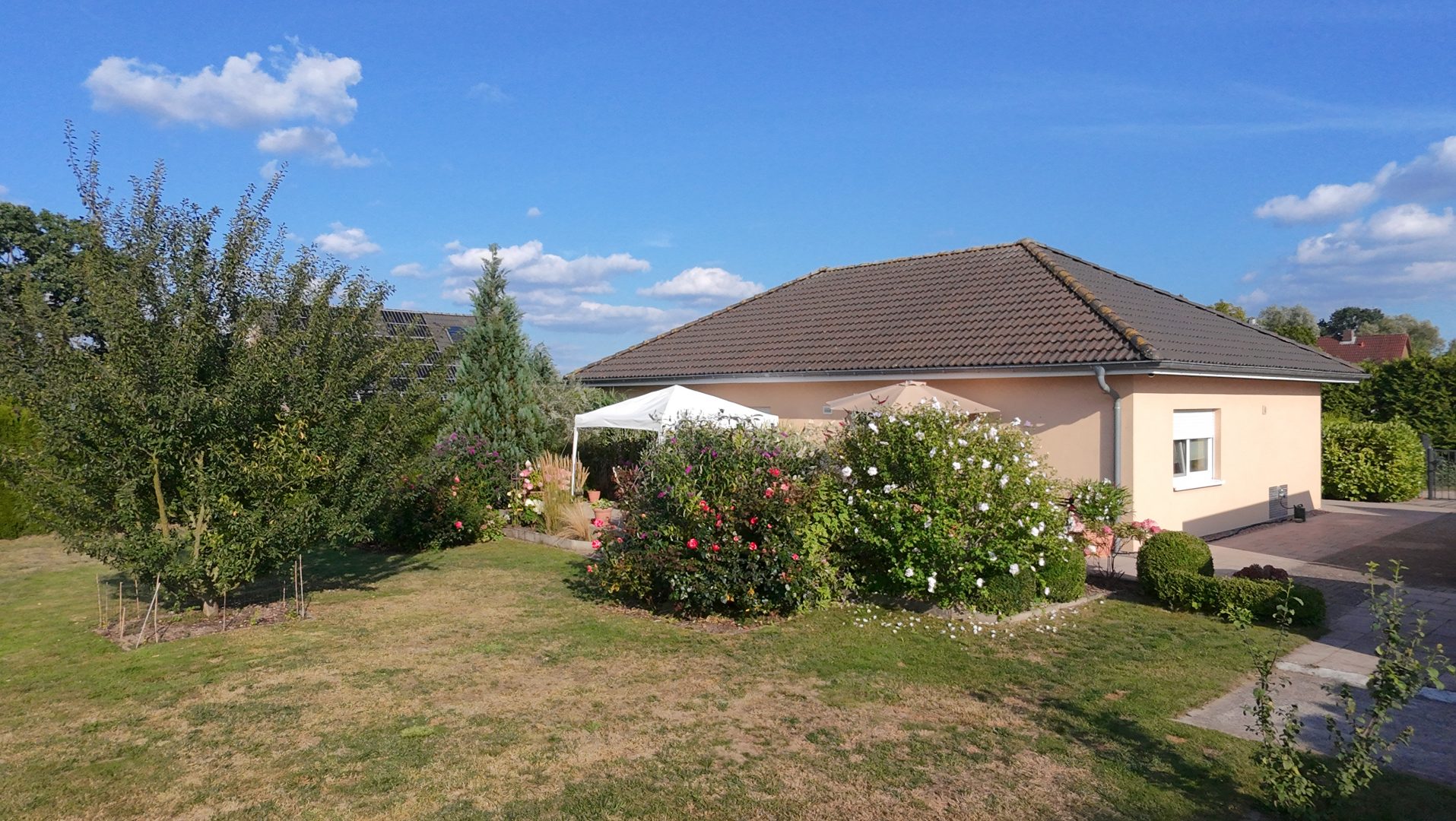 dji_fly_20250815_174650_0075_1755278960218_photo