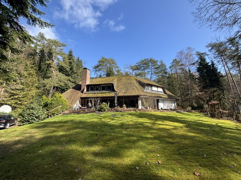 f683c003 ca89 4f98 9485 6b9550e49fa2 IMG_8472