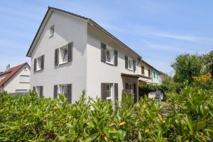 Seitenansicht Hecke