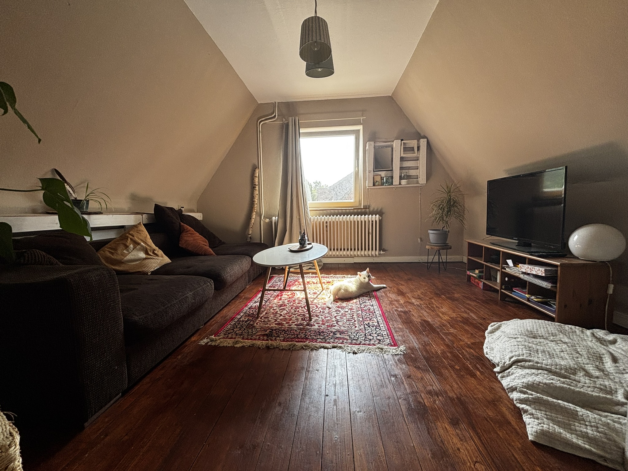 Zimmer 3 DG
