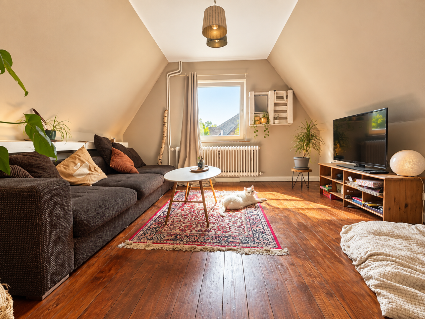 Zimmer 3 DG